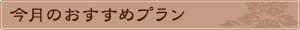 今月のおすすめプラン